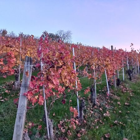 La Briccola Villa Diano d'Alba Luaran gambar