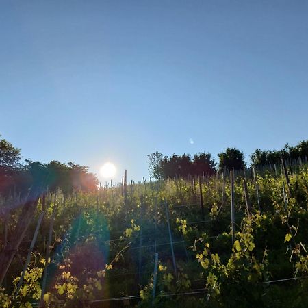 La Briccola Villa Diano d'Alba Luaran gambar