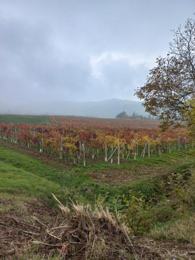 La Briccola Villa Diano d'Alba Luaran gambar